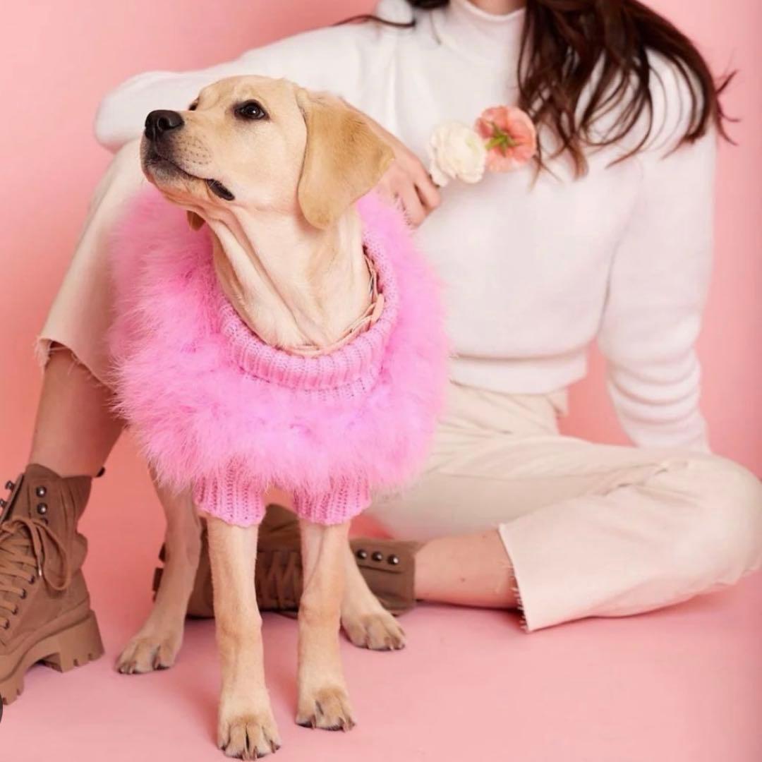 maxbone Christian Cowan コラボ 犬服 ピンク