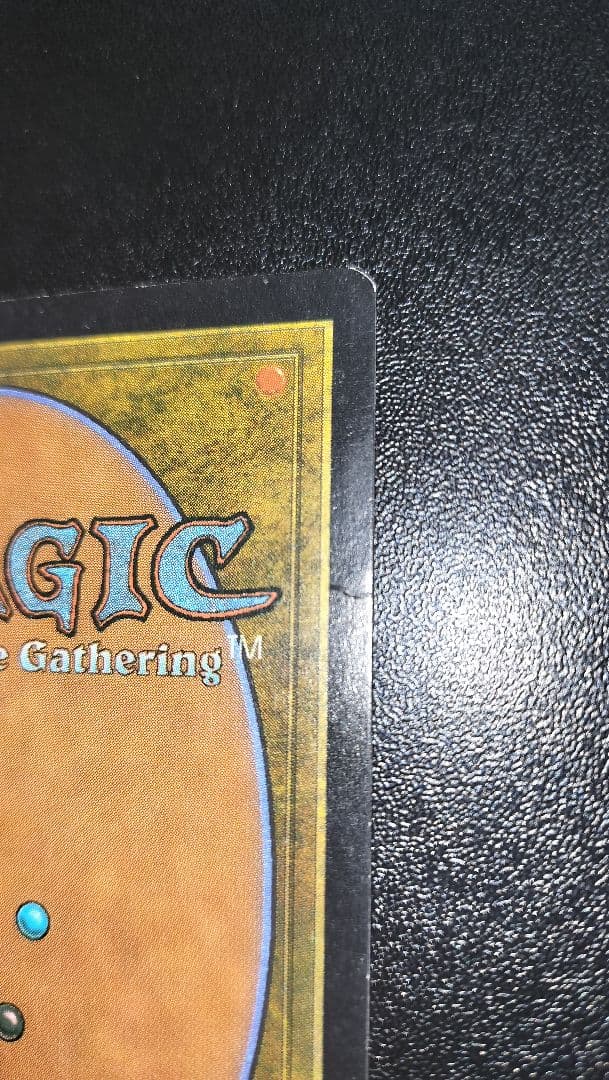 MTG ガイアの揺籃の地 日本語版 USG版 １枚