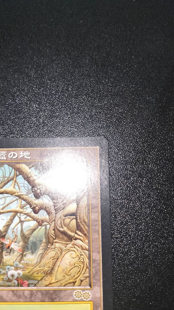 MTG ガイアの揺籃の地 日本語版 USG版 １枚