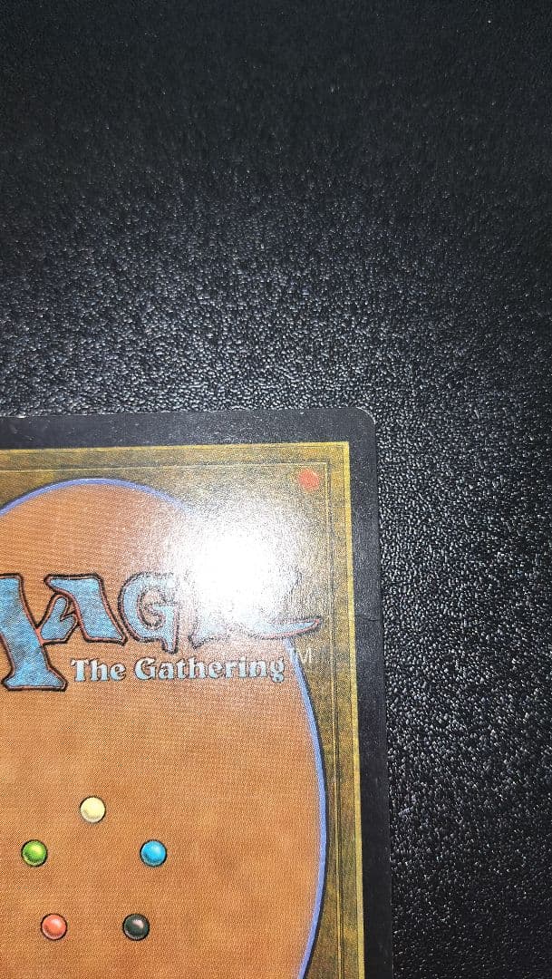MTG ガイアの揺籃の地 日本語版 USG版 １枚
