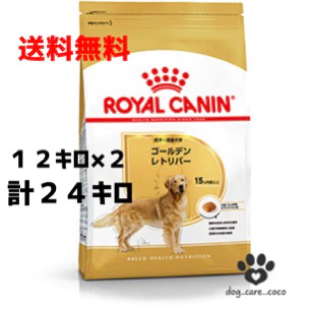  CANIN ゴールデンレトリバー 24kg 送料無料　ロイヤルカナン