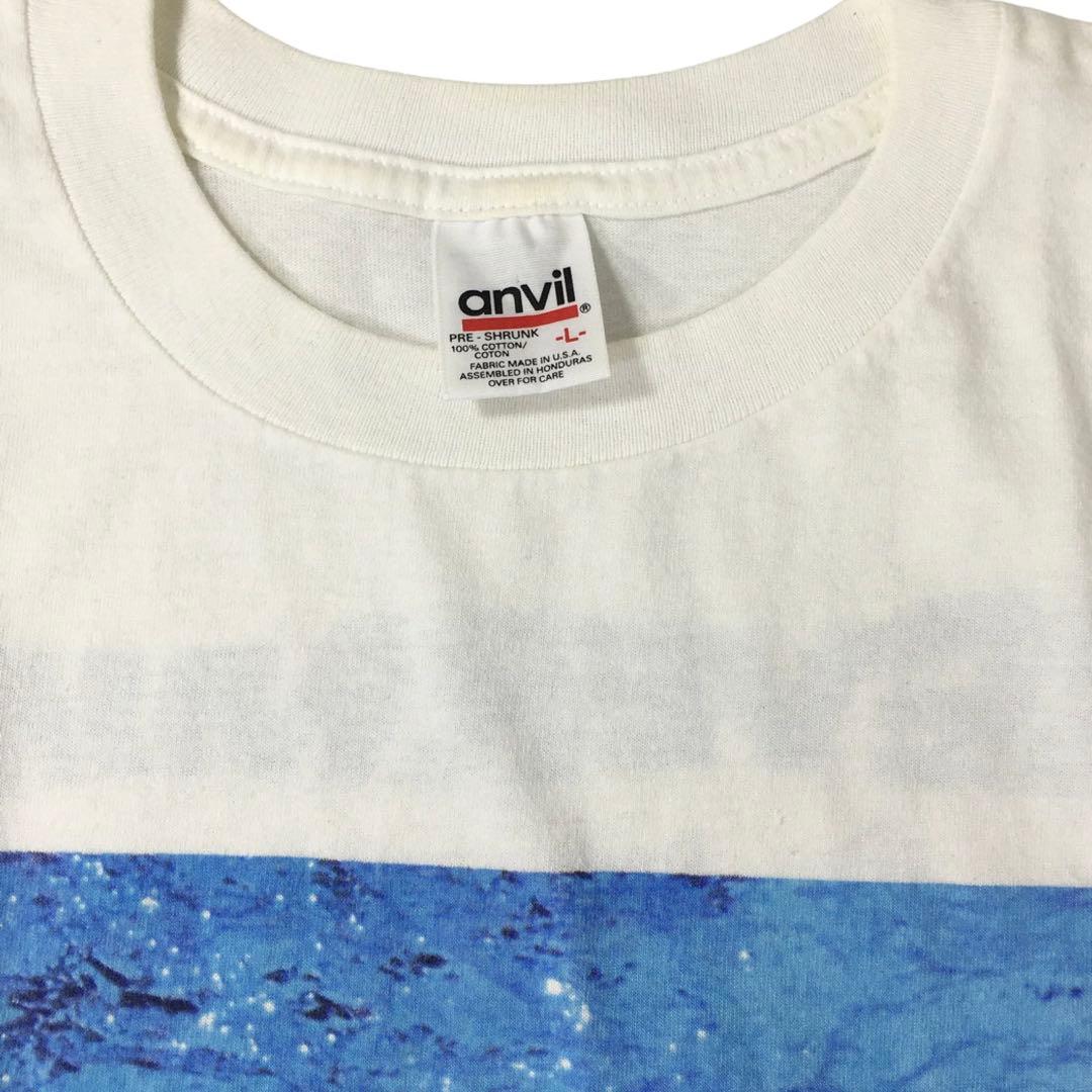ミュージシャン Nirvana nevermind vintage t anvil