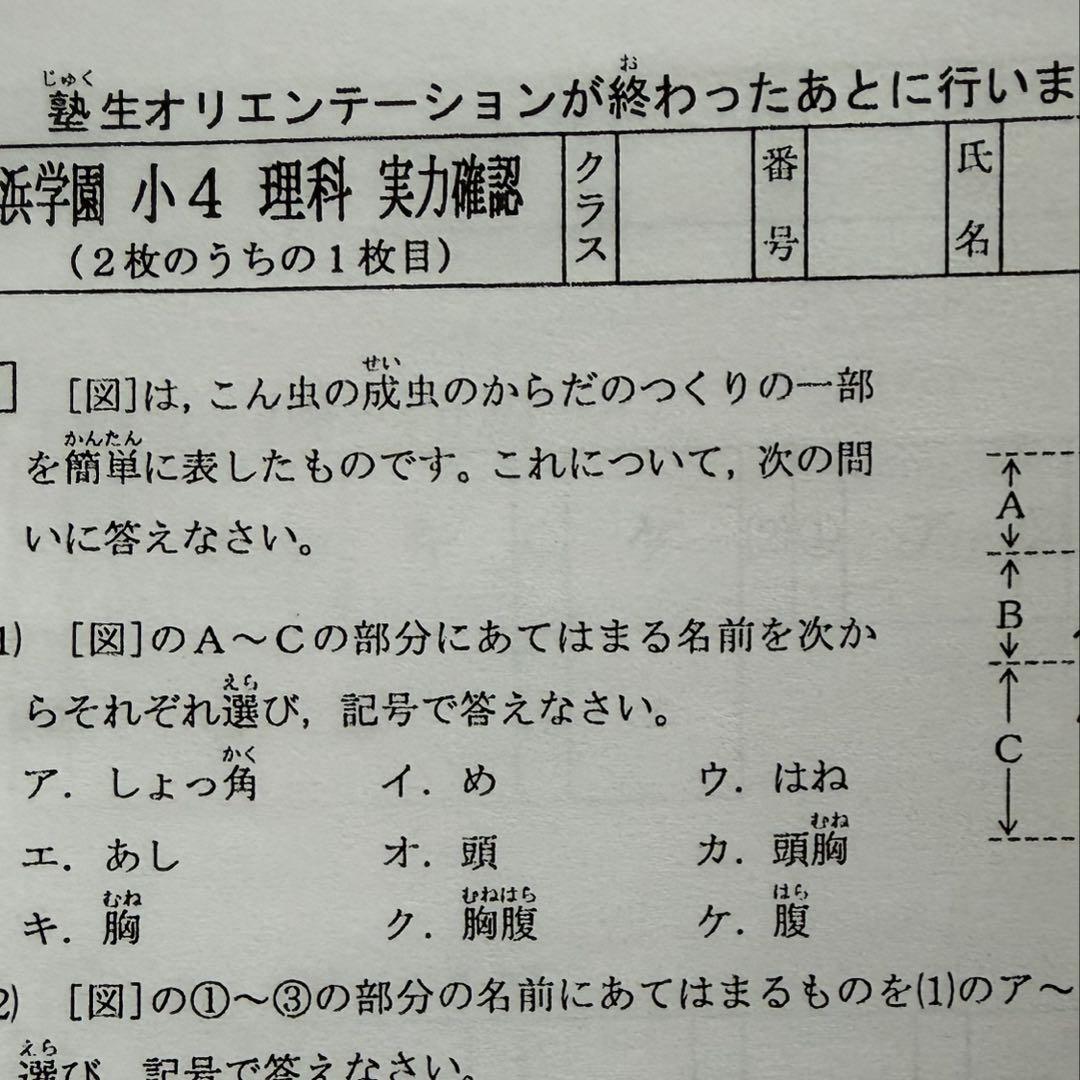 即日発送！原本サイズ⭐︎浜学園Vクラス復習テスト小4/国語理科算数3科目
