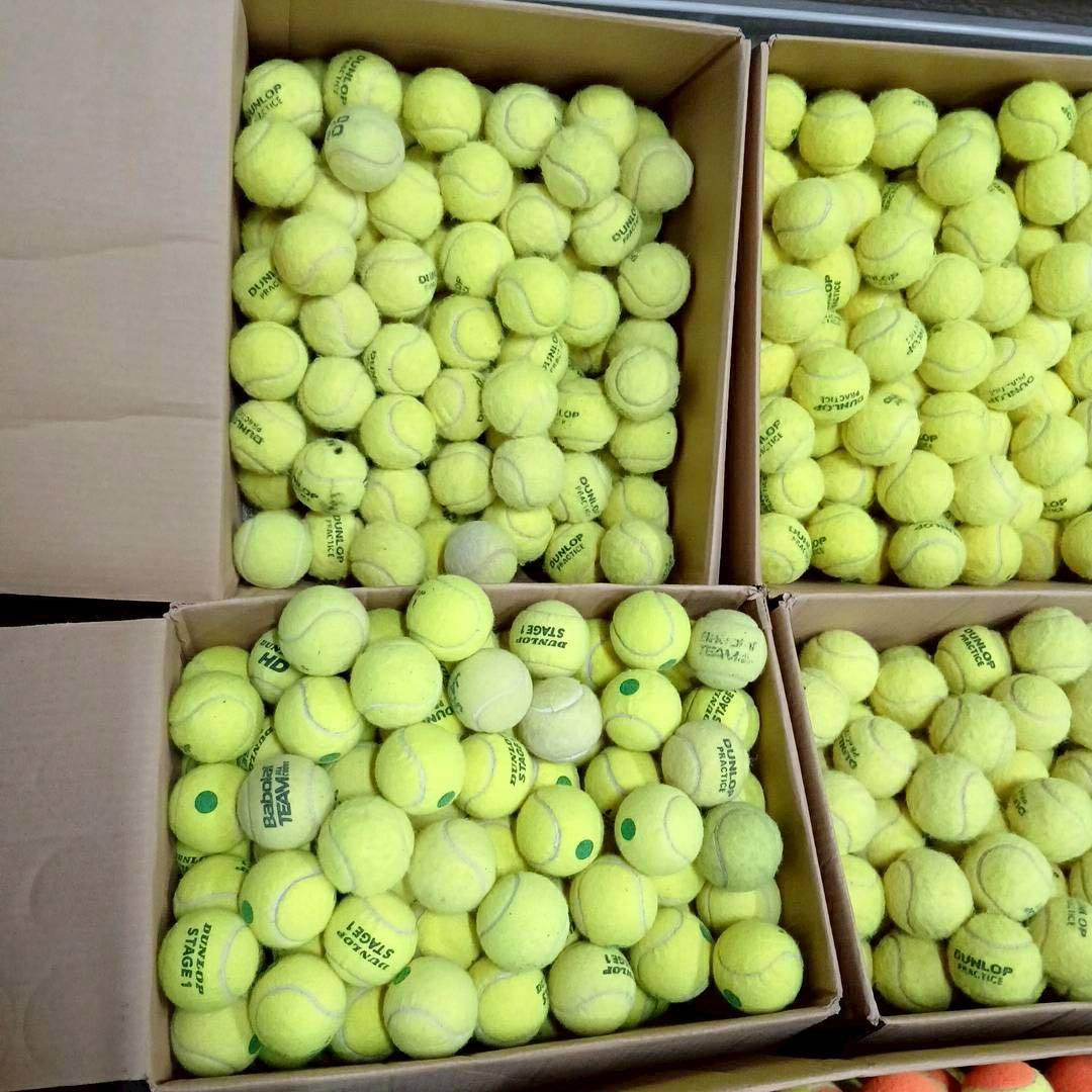 テニスボール 硬式 ダンロップ 約400球以上 ダンボール5箱