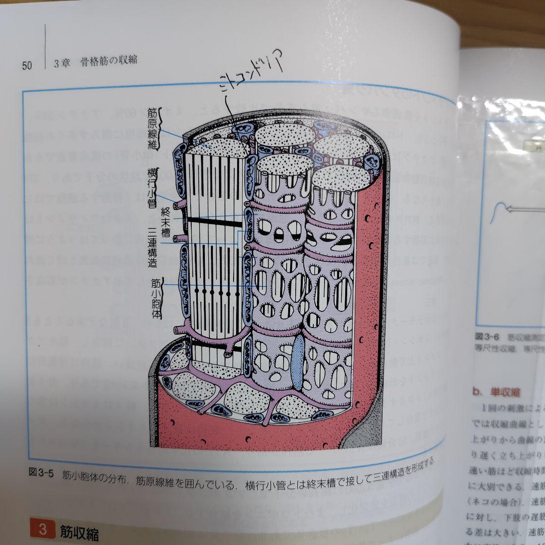 獣医学　教科書　セット売り　学生