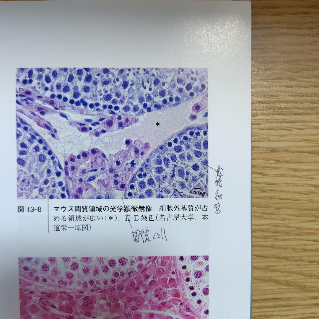 獣医学　教科書　セット売り　学生