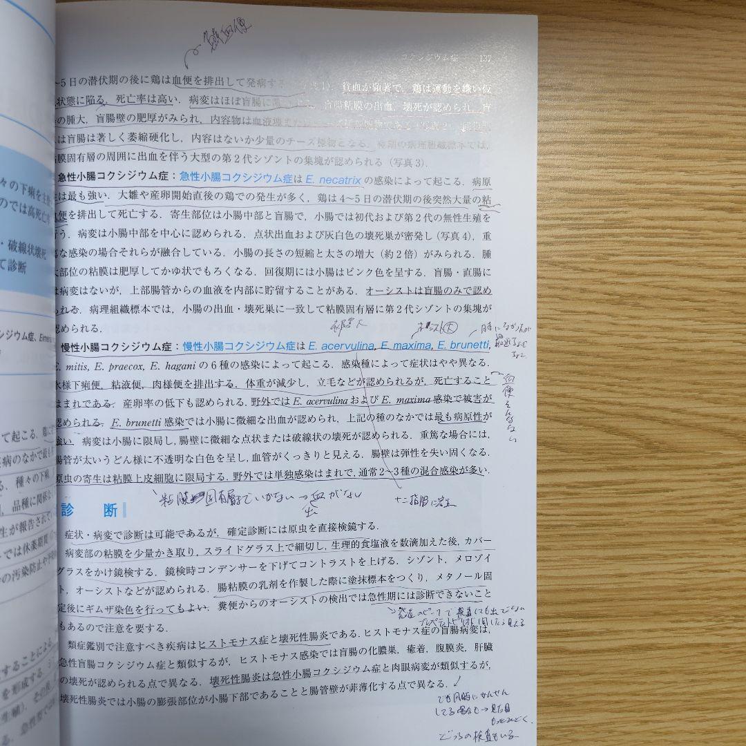 獣医学　教科書　セット売り　学生