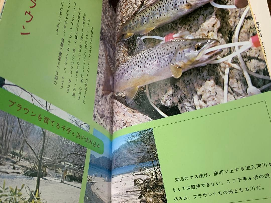 【稀少】図解 趣味の釣りシリーズ ルアー釣り入門 /相模鱒二著/新星出版社