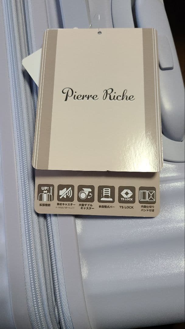 Pierre Riche キャリーケース