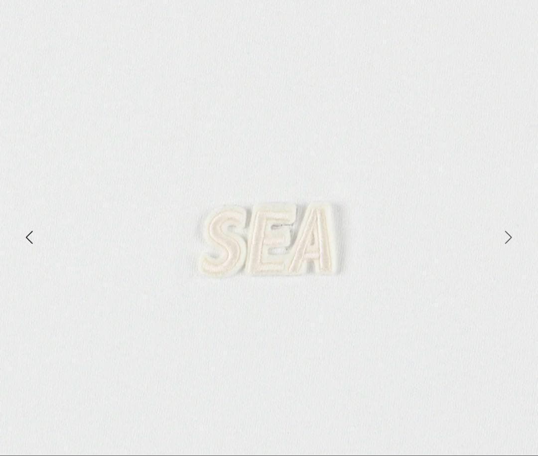WindAndSea Tシャツ Cozy S/S Tee