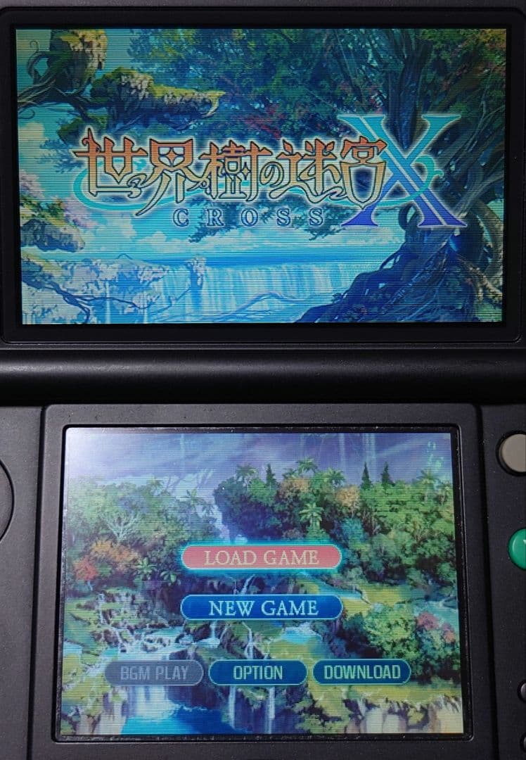Nintendo 3DS 世界樹の迷宮X