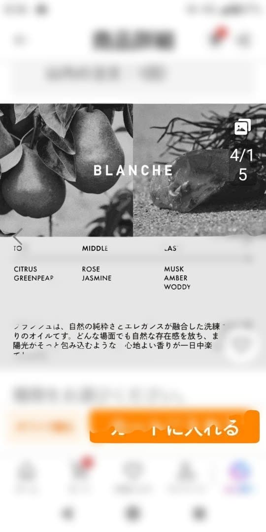 ロア　LOA BLANCHE
