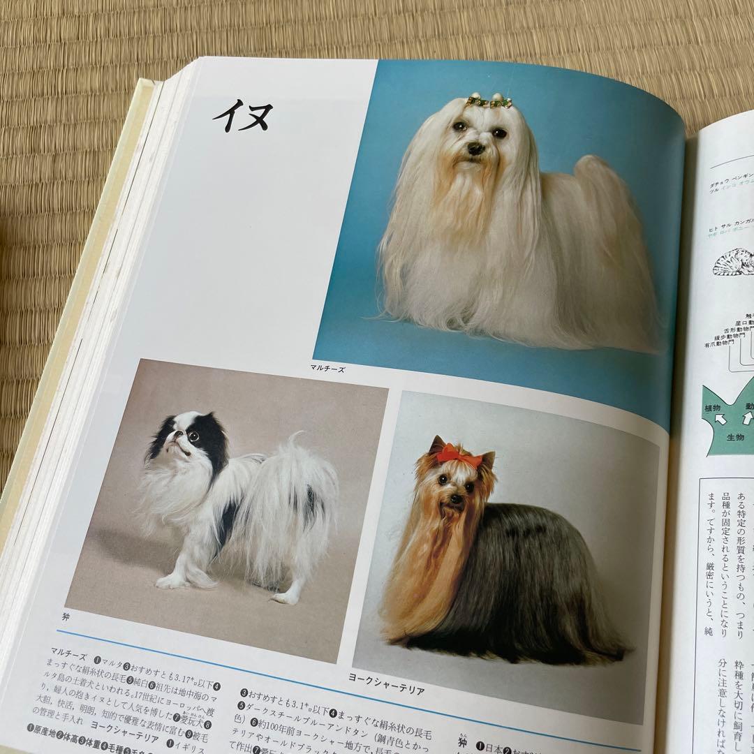 新現代ホーム百科事典 12巻