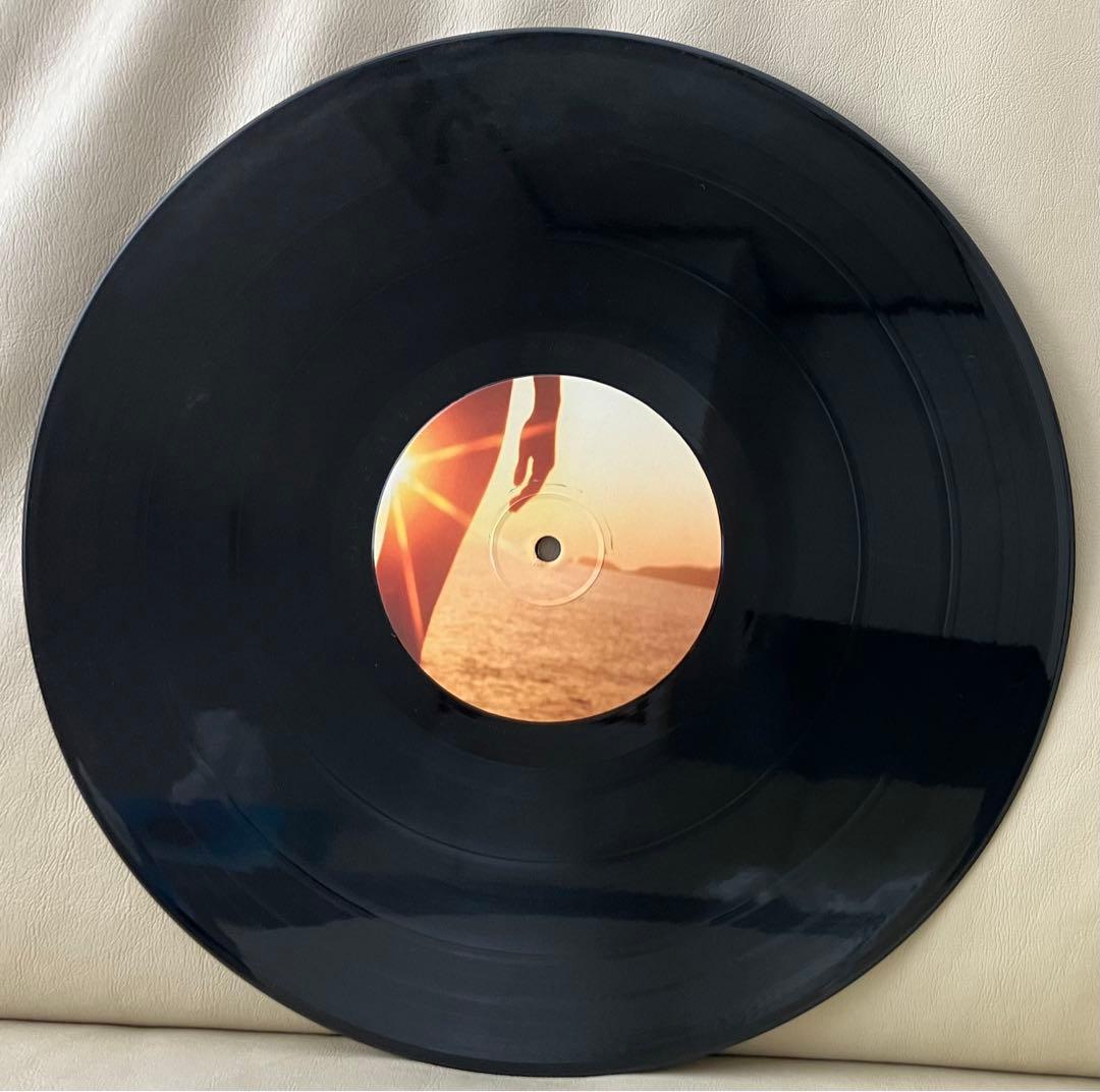 Fatboy Slim - Halfway Between The〜 【2LP】