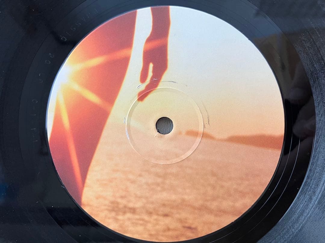 Fatboy Slim - Halfway Between The〜 【2LP】