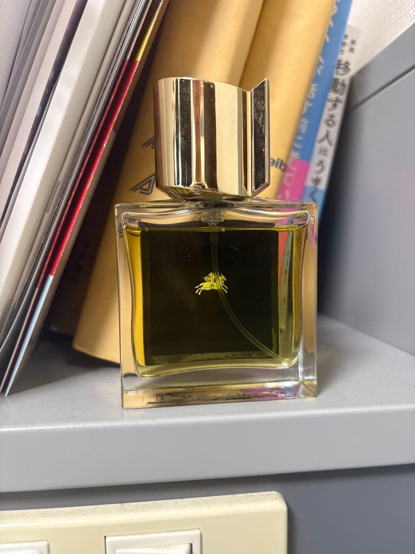 最安値最終お値下げnishane 香水　　アニX 50ml