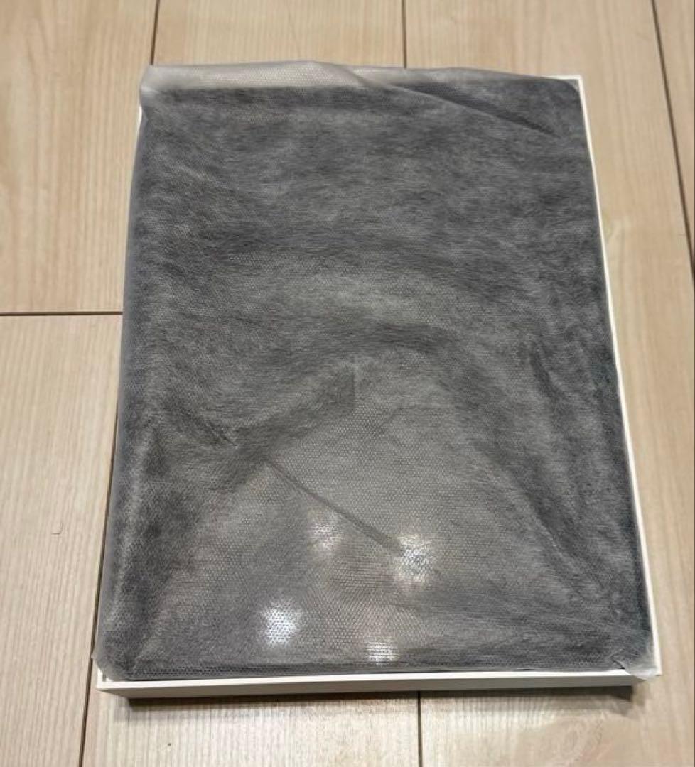 iPad Pro 13 M4 チップ 2024 Wi-Fi + Cellular
