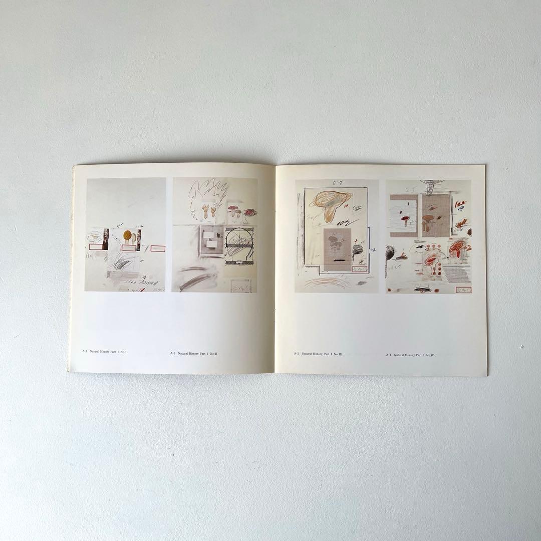 CY TWOMBLY サイ・トゥオンブリ 図録1989