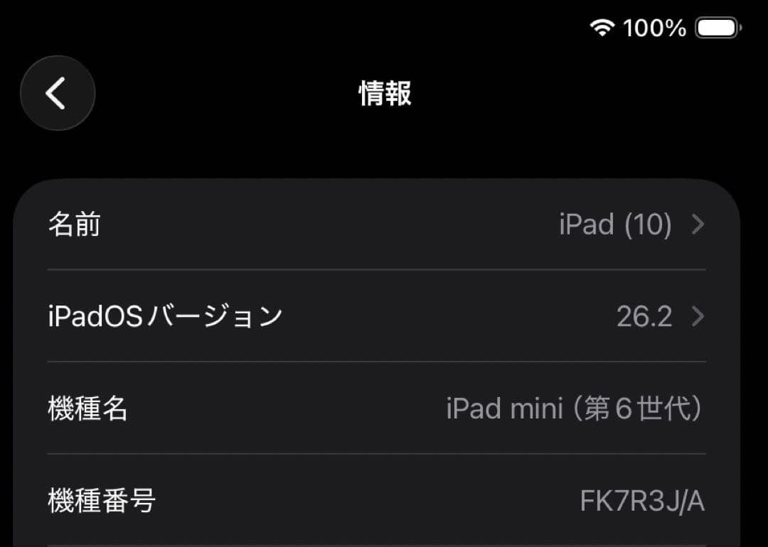 iPad mini 64GB + Apple Smart Folio + ペン