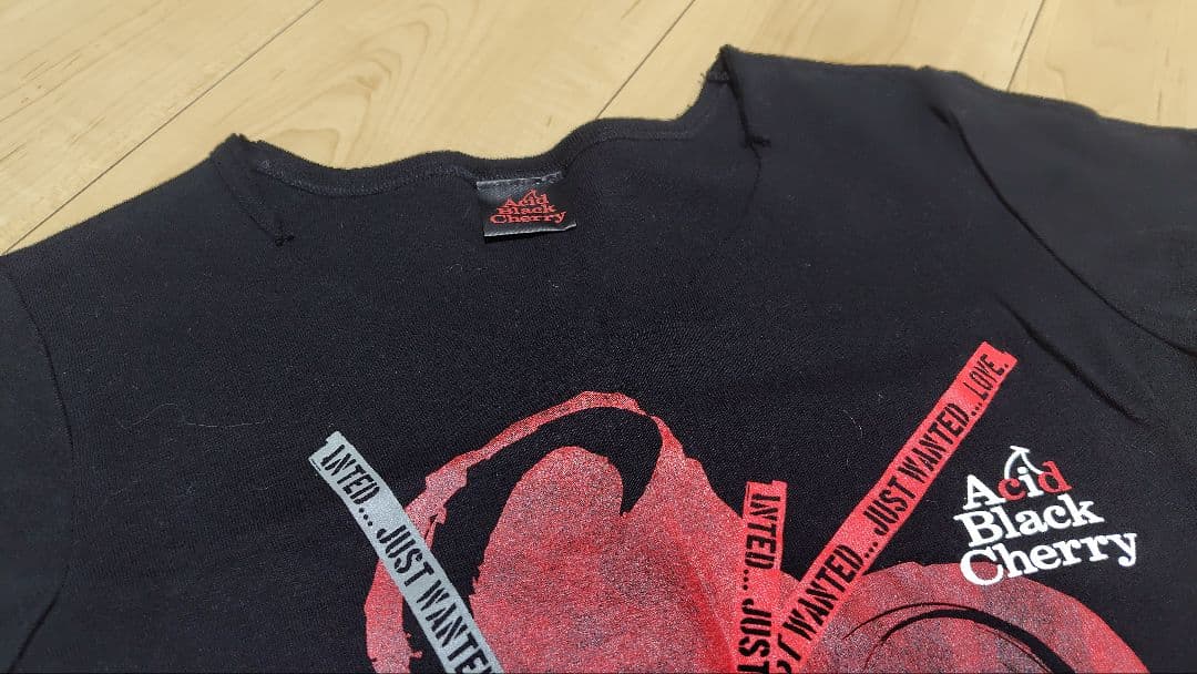 Acid Black Cherry【 yasu着用】LライブTシャツ