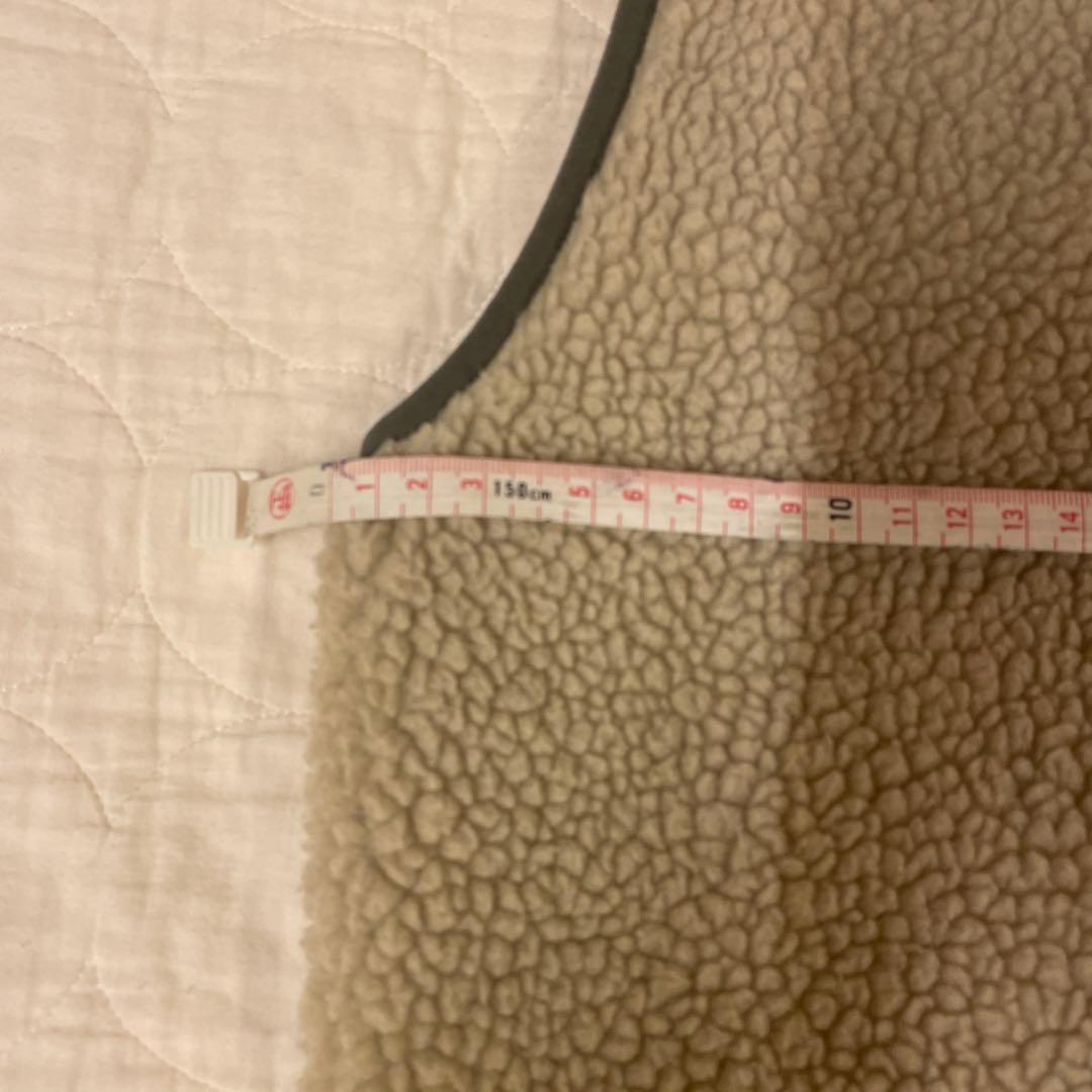 【美品】 patagonia パタゴニア レトロX ベスト Lサイズ ペリカン