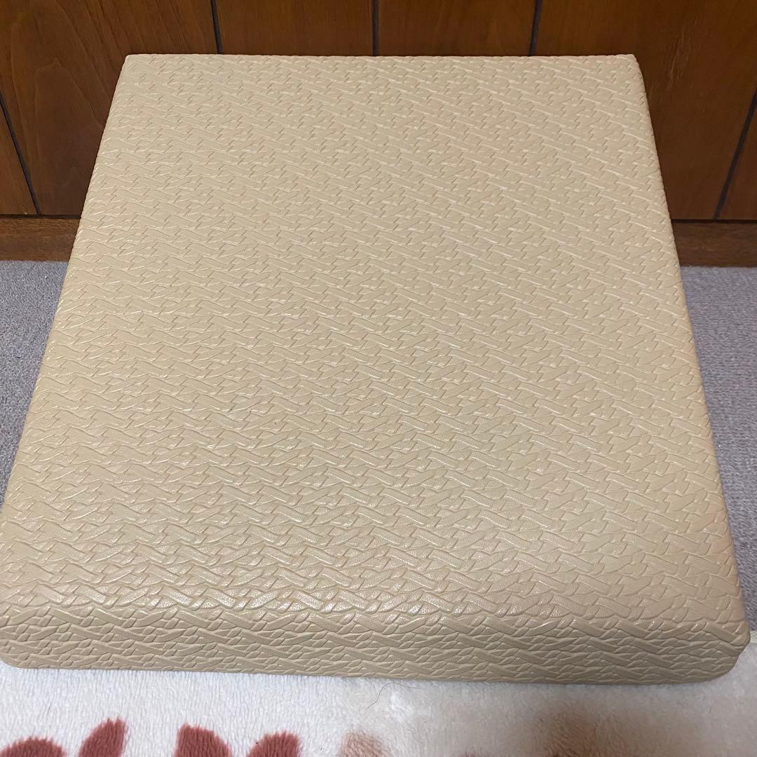 サンテプラス　フレックスクッション 解説DVD付き ストレッチ