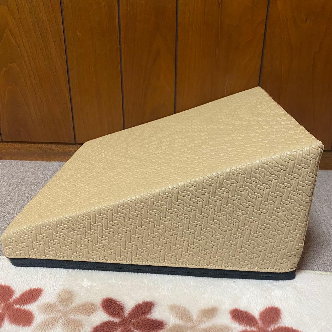 サンテプラス　フレックスクッション 解説DVD付き ストレッチ