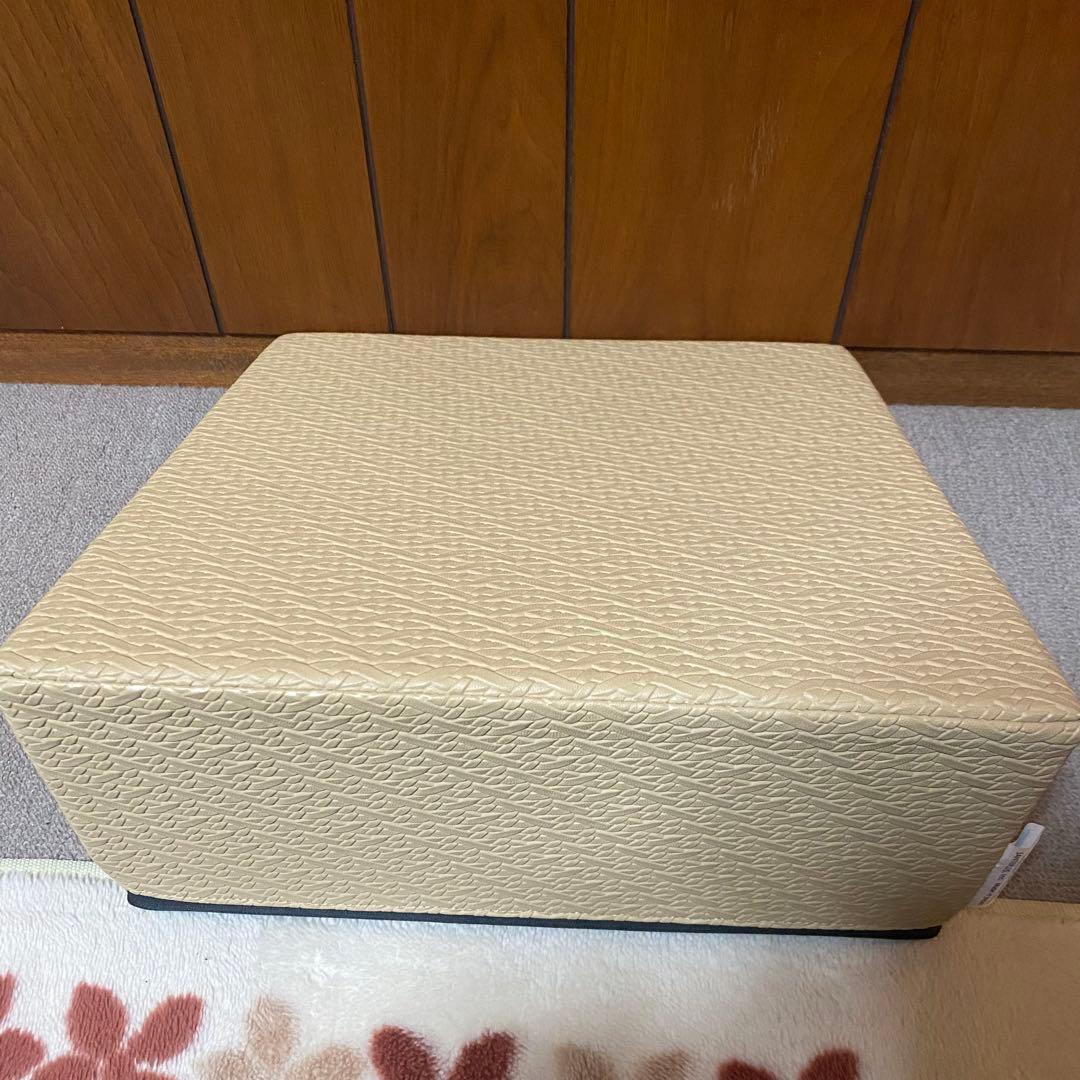 サンテプラス　フレックスクッション 解説DVD付き ストレッチ