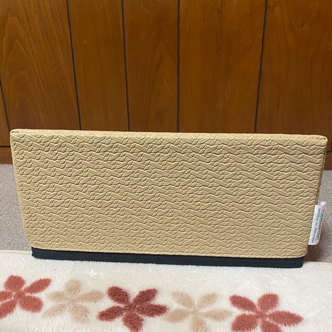 サンテプラス　フレックスクッション 解説DVD付き ストレッチ