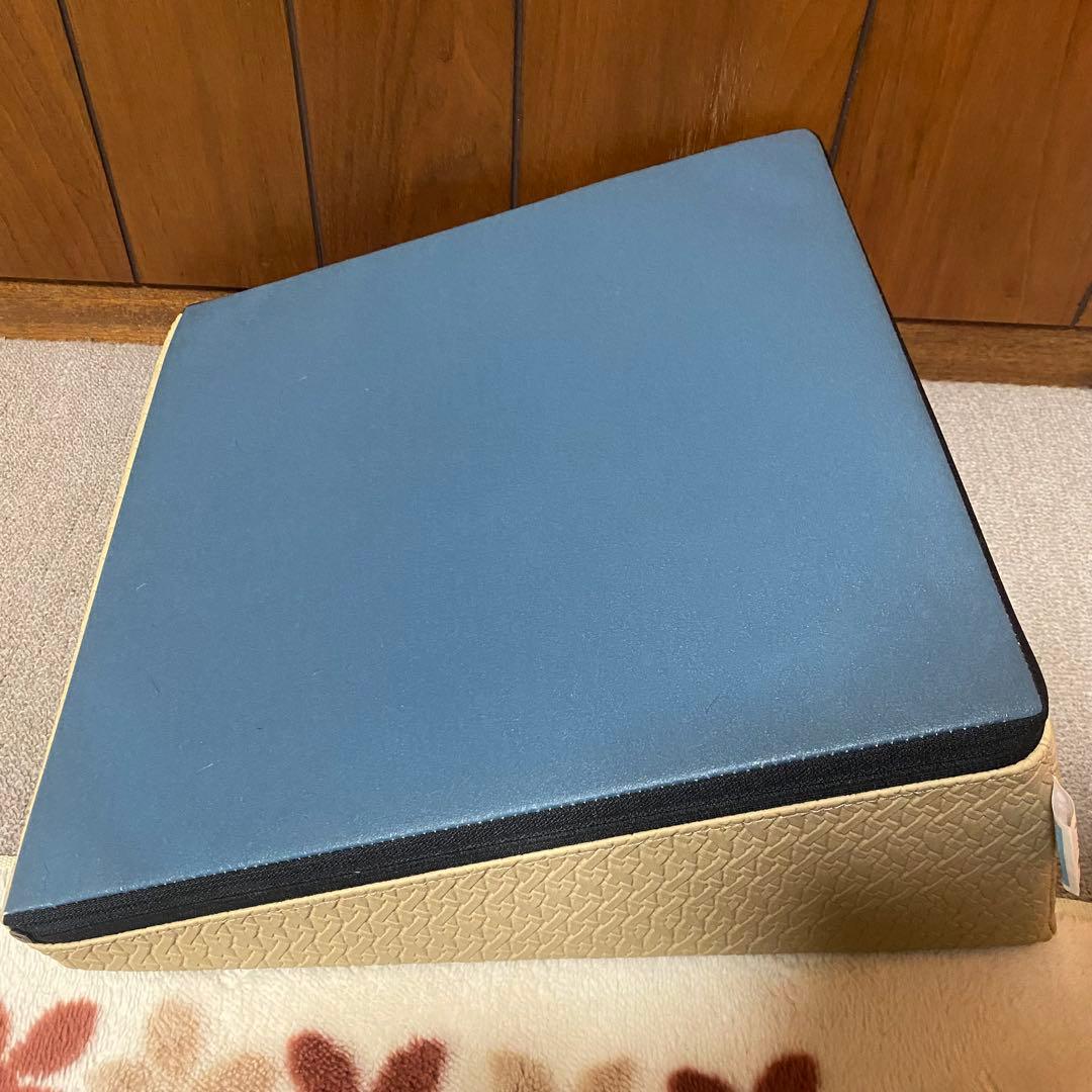サンテプラス　フレックスクッション 解説DVD付き ストレッチ