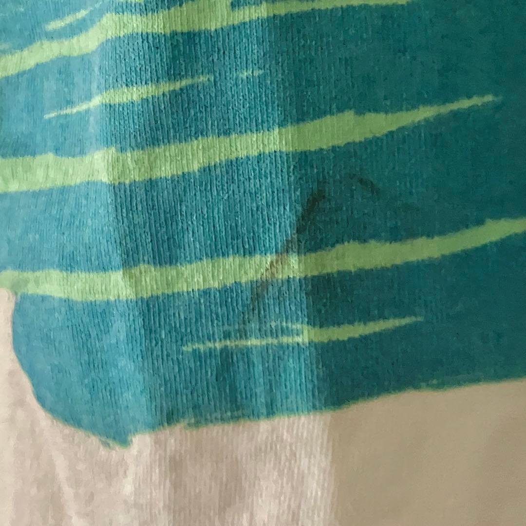 ビンテージ！LED ZEPPELIN SWAN SONG Tシャツ