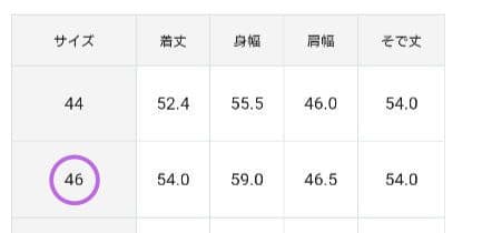 【23区】46（15号）未使用タグ付 吊り干し可 ヴィスコースストレッチ カーデ