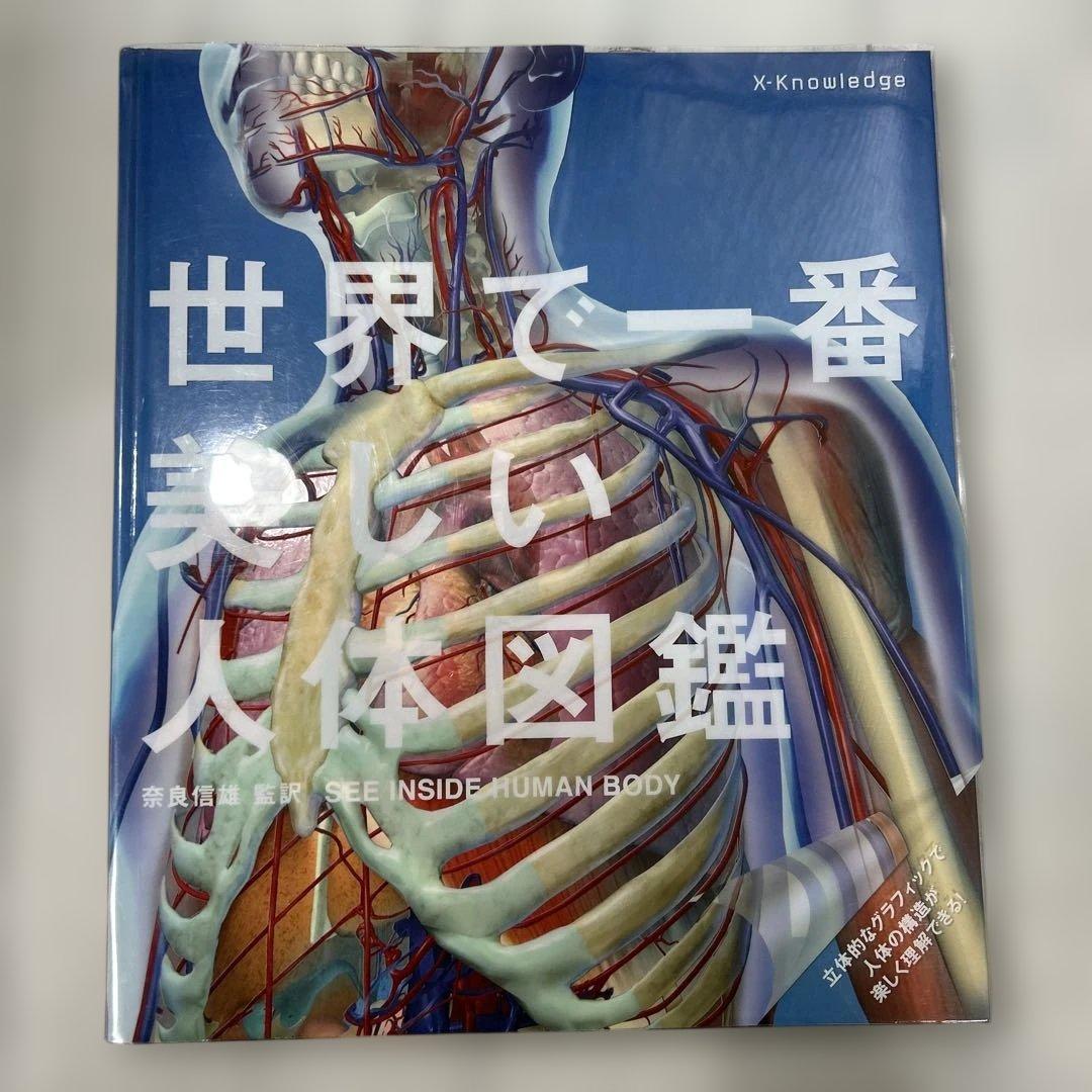 人体図鑑　解剖　生理学　本　4冊セット