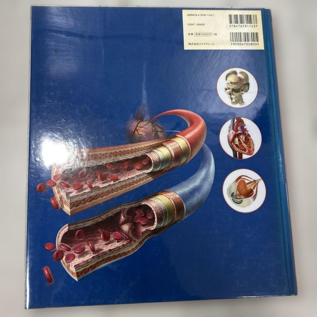 人体図鑑　解剖　生理学　本　4冊セット
