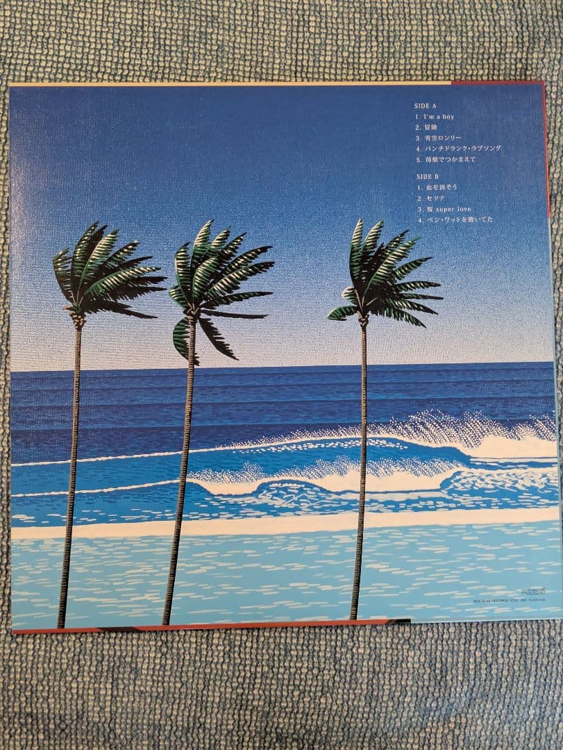 邦楽 SUNNY DAY SERVICE Dance To You