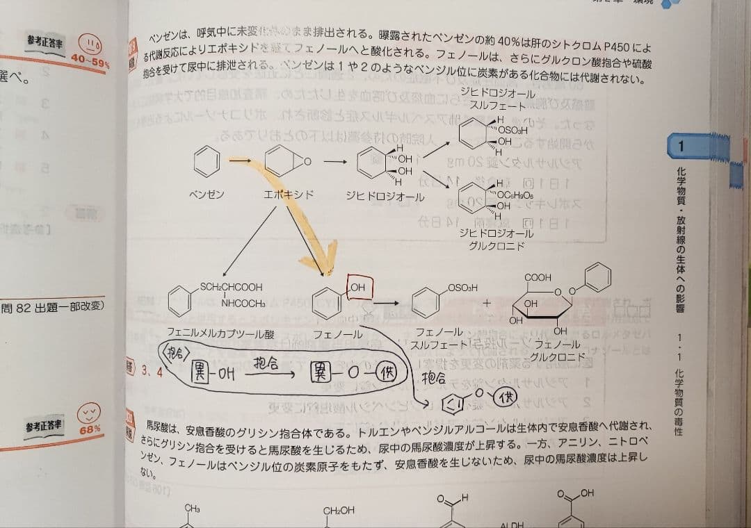 薬剤師国家試験 110回 青本 青問 全巻 模試解説書 セット