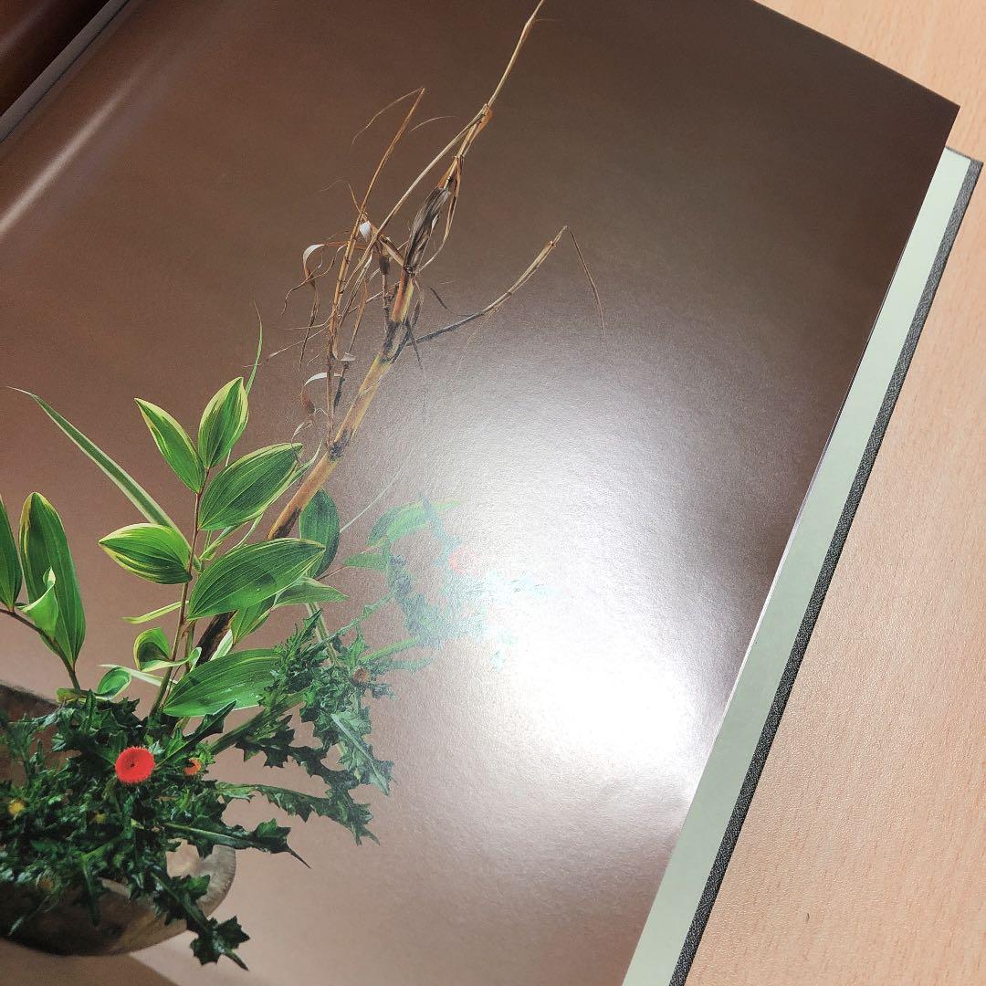 小原豊雲遺作集 幻花巡歴
