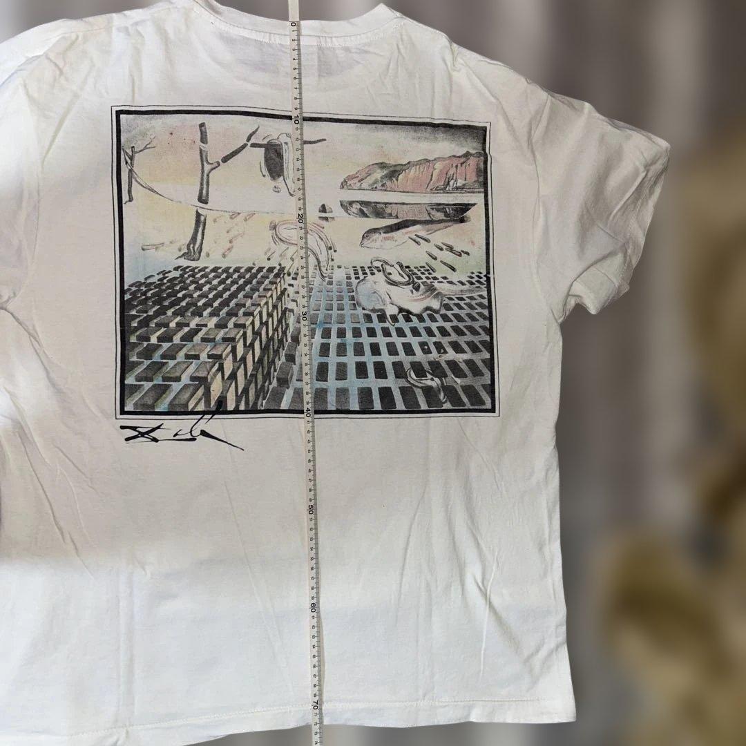 協*様 【90s】SaluvadorDali artTshirt 記憶の固執の崩