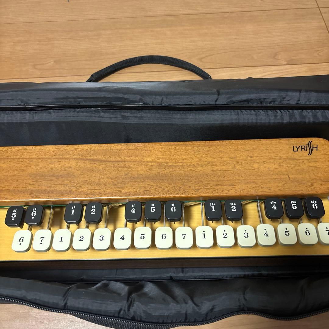 ライリッシュ 大正琴 LPS50 和楽器　専用ソフトケース付き
