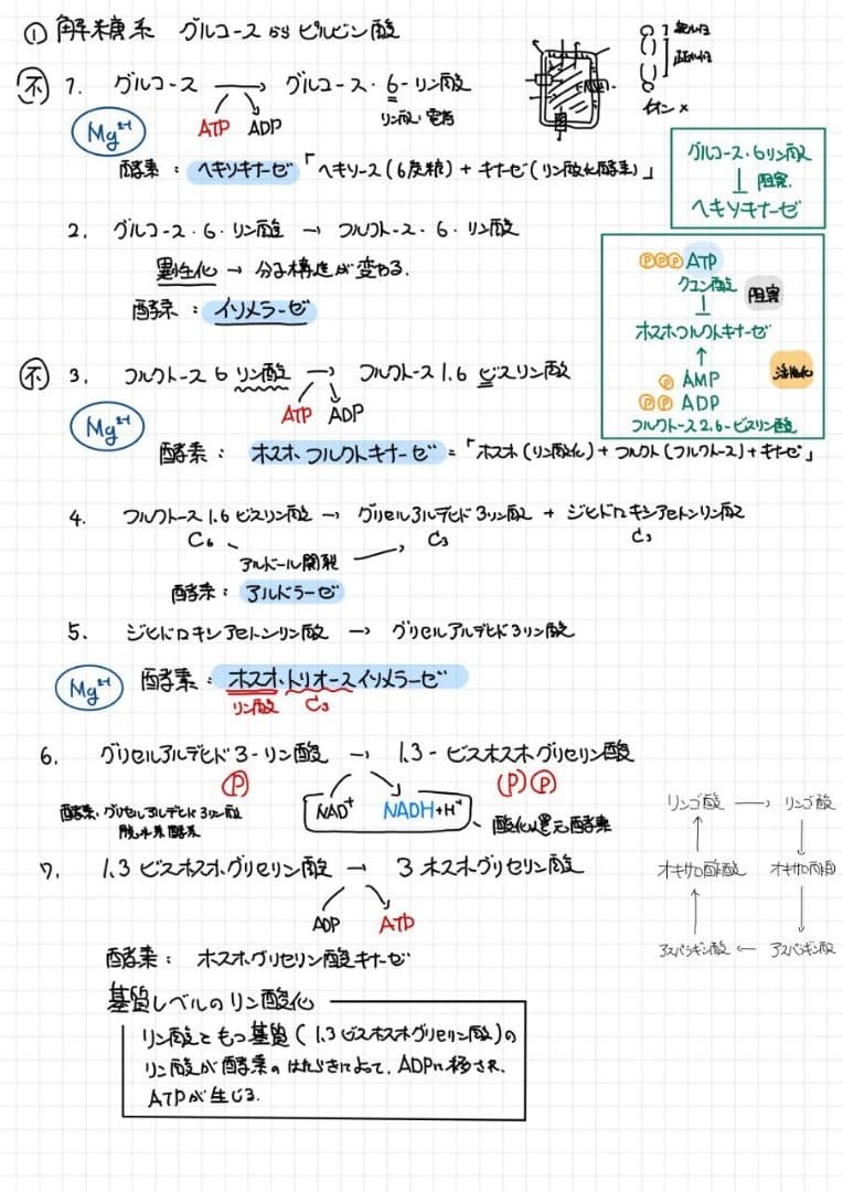※くーま エッセンシャル細胞生物学 自作問題集