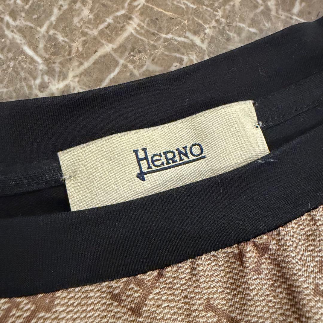 Herno ロゴプリント Tシャツ 42