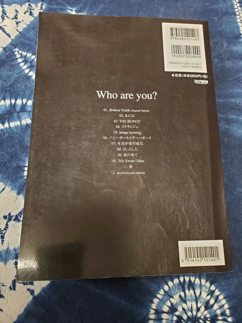 アート・デザイン・音楽 NICO Touches the Walls - Who are you?