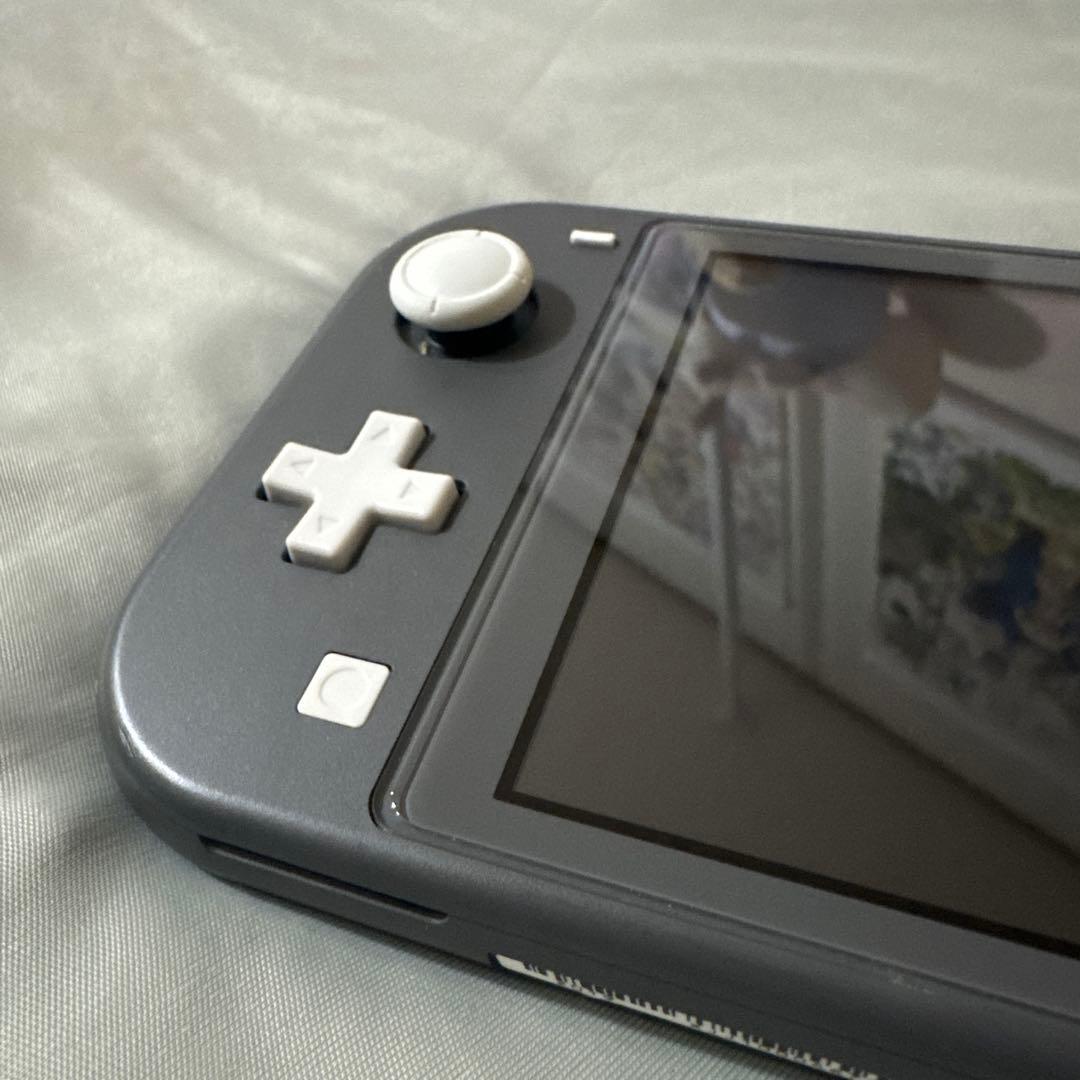 Switch ライト 本体