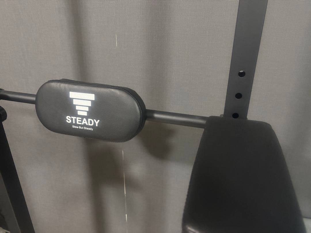 STEADY ぶら下がり健康器
