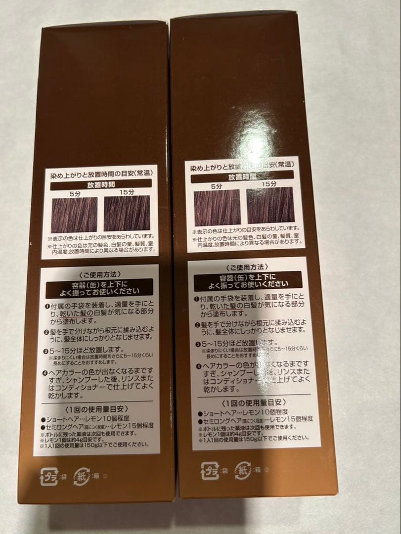 ヘアボーテ　エクラ　ボタニカルエアカラーフォーム　ダークブラウン　150g×2
