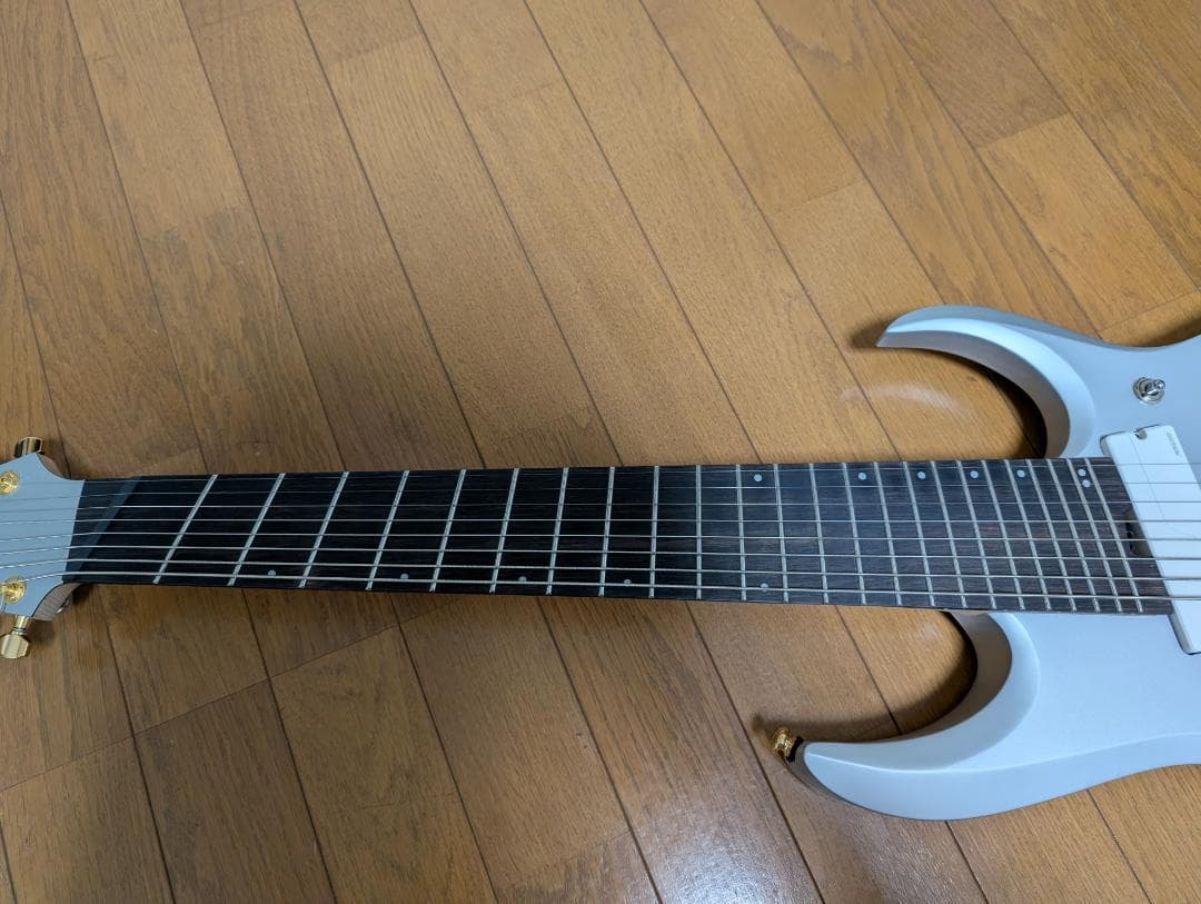 ギター Ibanez / RGDMS8 CSM