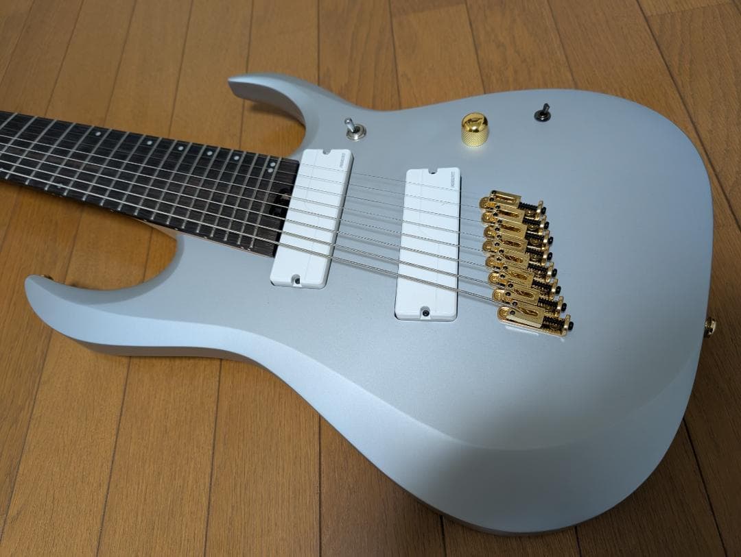 ギター Ibanez / RGDMS8 CSM