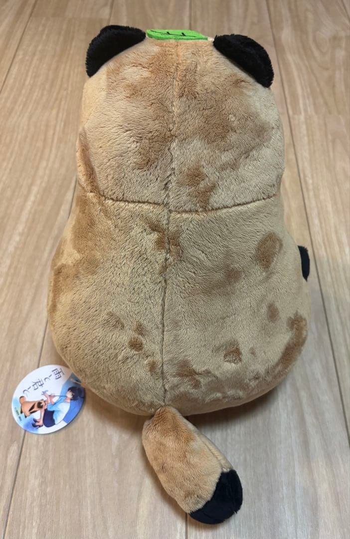雨と君と BIGぬいぐるみ 『君』 犬 たぬき 狸
