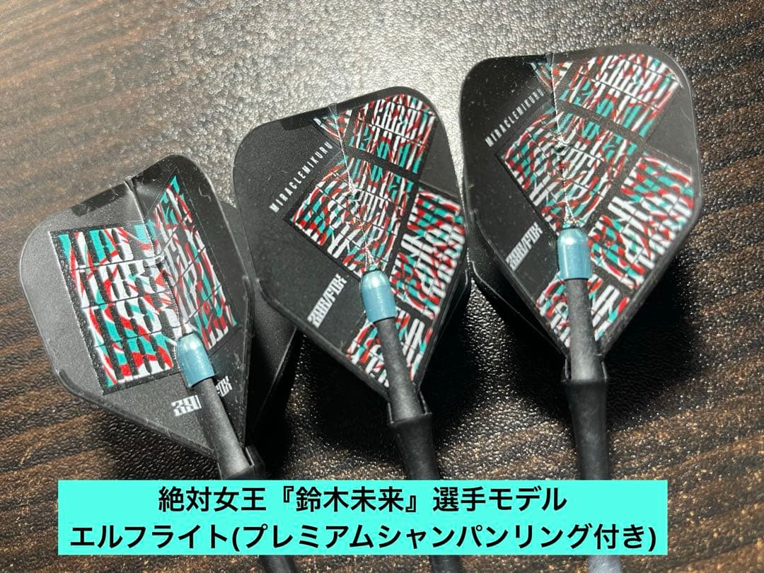 【タングステン90%】BOTTELSEN ネメシス20g【カーボンシャフト付き】