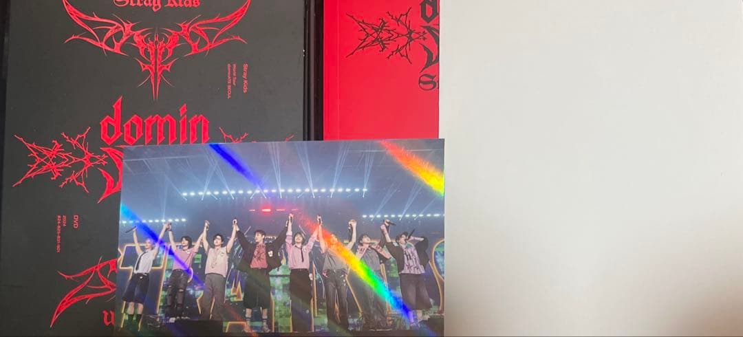 スキズ straykids dominate DVD ソウルコン